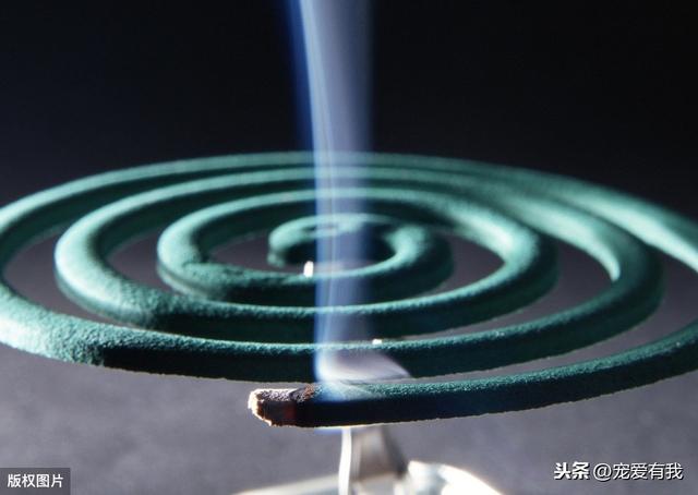 蚊子也有“克星”？2600v电压纯物理输出，灭蚊毫不留情