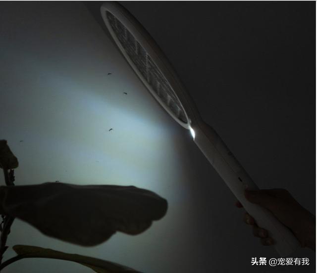 蚊子也有“克星”？2600v电压纯物理输出，灭蚊毫不留情