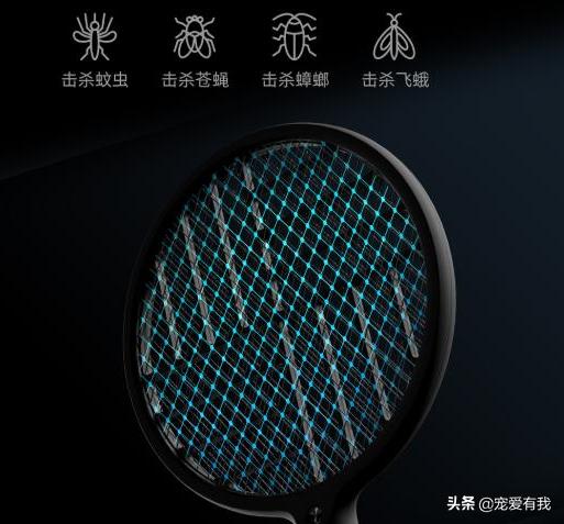 蚊子也有“克星”？2600v电压纯物理输出，灭蚊毫不留情