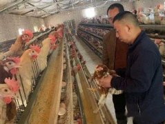 开发区科技局精准选派科技特派员队伍助力科技扶贫工作