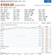 特斯拉：硬件随你赶，软件追得上算我输