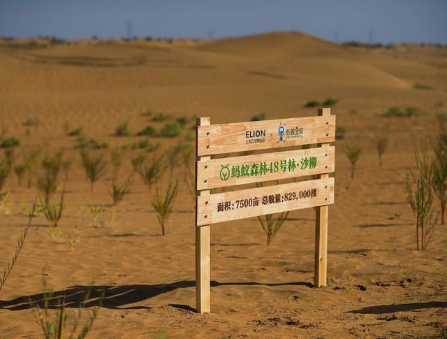 5亿用户的蚂蚁森林，如今有多少人真的还在种树？网友：感谢马云