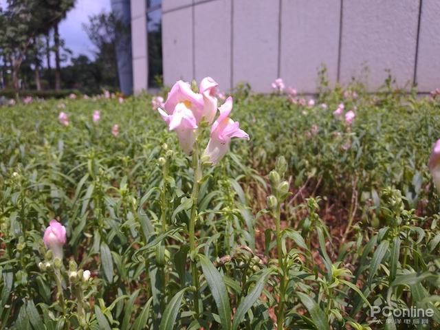 海信阅读手机A5Pro 彩墨屏CC版评测：彩墨丹青，享阅芳华