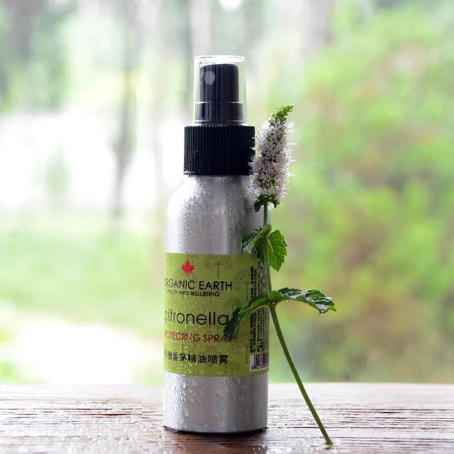 蚊子超怕这个味道，只要喷一点它就不敢靠近你