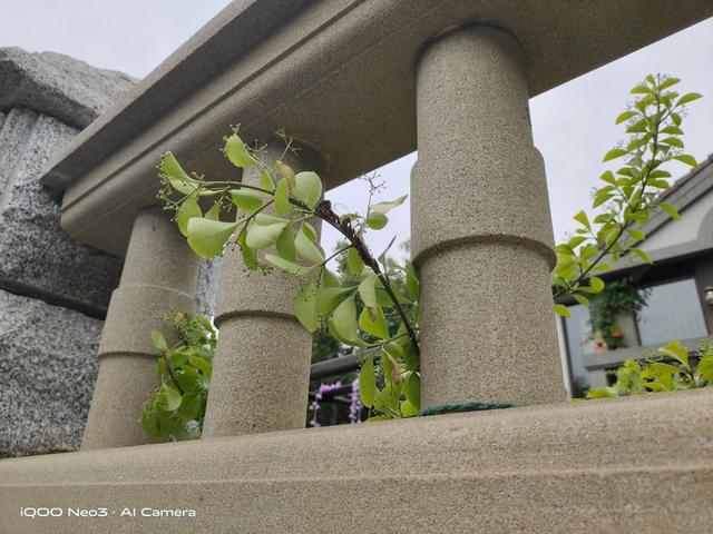 超高性价比？最便宜865？iQOO Neo3实测体验