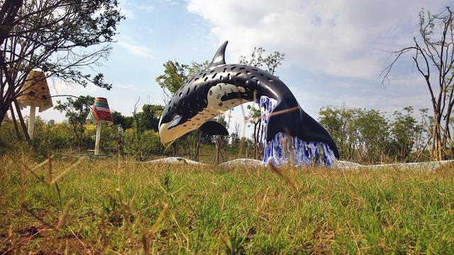 iDol智能飞行器，支持航拍，上帝模式的效果如何？