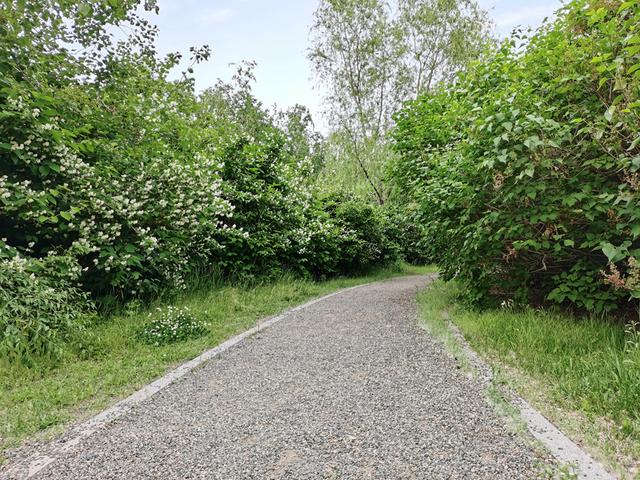 仅799,小米低调发布Redmi 9,米粉:又一款堆料手机