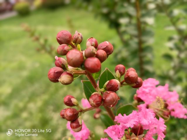 颜值实力样样都有!荣耀30青春版首发评测:5G时代的最强千元机