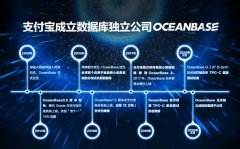 蚂蚁集团独立OceanBase，胡晓明亲自担任新公司董事长