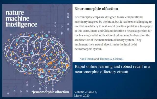 最大规模的神经拟态计算系统，神经容量相当于小型哺乳动物的大脑