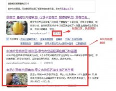 网站已经更换源码 后续有哪些问题要修改，请指教