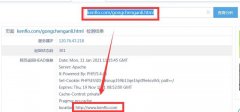 网站经常被降权，实在是找不出原因了