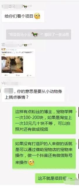 操作性非常强的冷门项目，新手也能日赚200