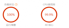 服务器负载 cpu都100% 怎么弄