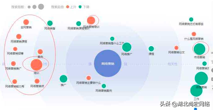 seo如何做市场分析？这篇文章告诉你