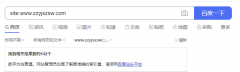 网站到今天，上线整一个月了，终于开始收录了，非常不错~
