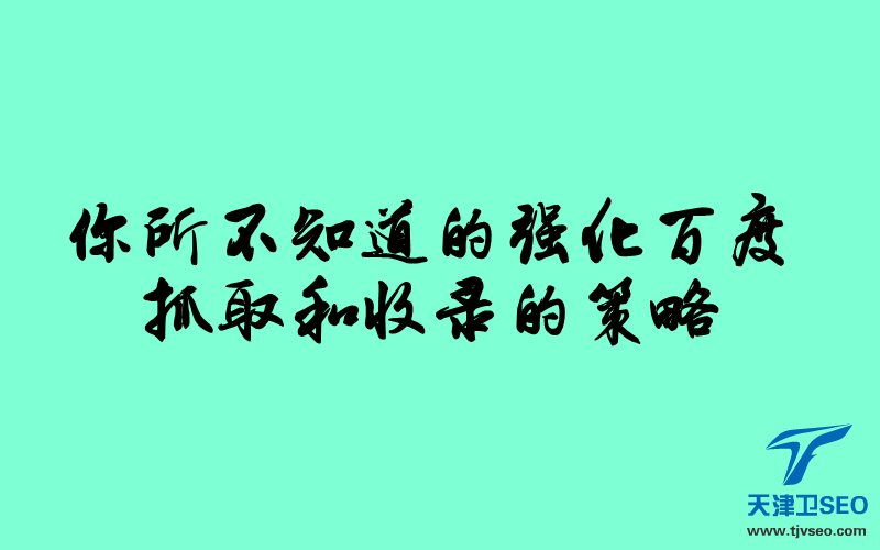 天津SEO：你所不知道的提高百度抓取和收录的策略