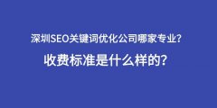 深圳网站优化公司排名_深圳seo关键词优化哪家好