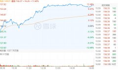 哔哩哔哩美股大涨 11.60%，市值达 540 亿美元!