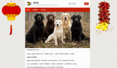 2020年建的最后一个网站,挂个大红灯笼迎新春！