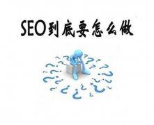 seo优化VIP课程_价值8999元的百度排名教程