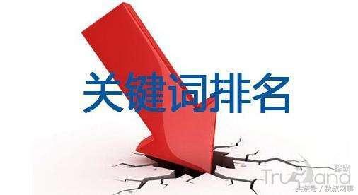 如何诊断SEO优化的效果