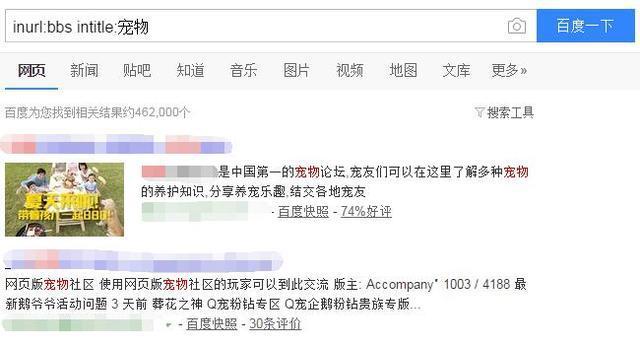 郑州网站建设公司-最新 SEO搜索引擎 必知技巧大放送