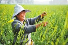农村致富创业门路有哪些，4个投资小利润高的好项目推荐