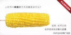 推广营销方式有哪些，营销高手都爱用的15个营销技巧