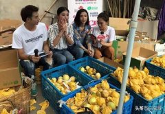 农村创业点子有哪些，7个最有前景的好项目推荐