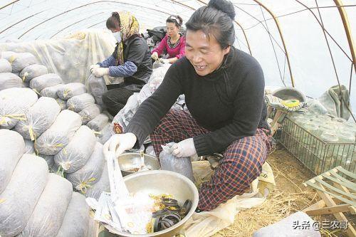农民青年回乡创业，这七个点子能发财致富