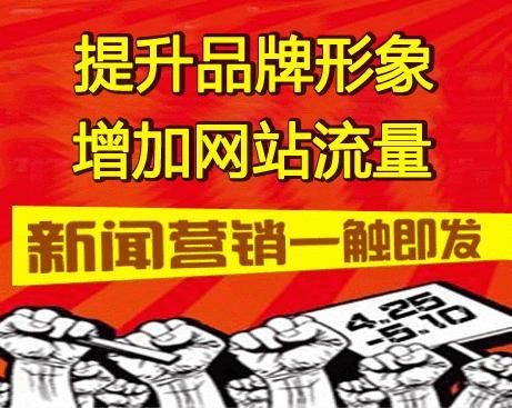覃雨泽：网络营销策划方案（成功案例！）