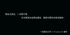 网站优化及推广公司哪家好，百度seo网站优化排名