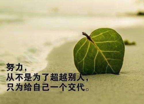 失业了不想打工，想自己创业，分析了几个月不知道做什么好？