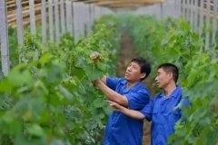 农民工返乡创业政策的规定，农民工创业补贴在怎么申请办理