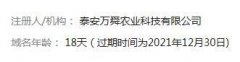 网站应该怎么做 看看还有什么需要做的吗？
