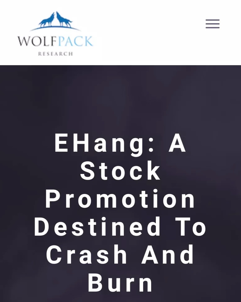 Wolfpack的做空报告