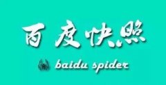 网页快照怎么操作的，网页快照的作用及使用方法介绍