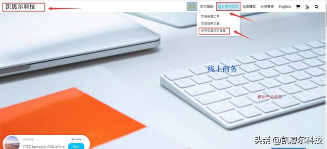免费线上引流工具
