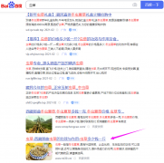 SEM/SEO你会选择哪一个？