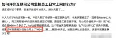 因在公司上了1024网站...试用期没过