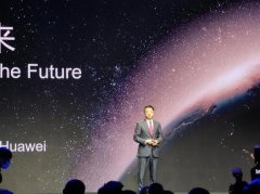 华为胡厚崑：2020 年经营基本达到预期