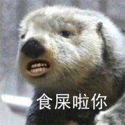 什么是搜索引擎优化_百度排名怎么做外链