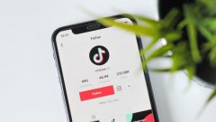 赔偿 9200 万美元，TikTok 与美用户和解隐私诉讼