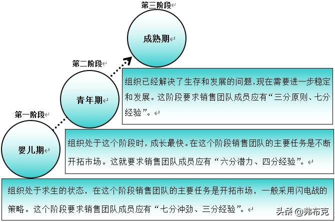 销售团队组建：团队组建分析、团队成员选择、团队成员培训