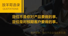 营销策略案例都有哪些_十大成功的经典案例外链论坛