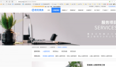 一个网页产生了两个url怎么破