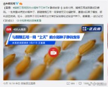 嫦娥五号带回的水稻种子种下