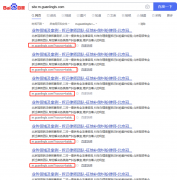 竞价的首页动态url被大量收录，如何处理？