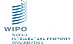 世界知识产权组织：中国专利申请量连续两年超过美国